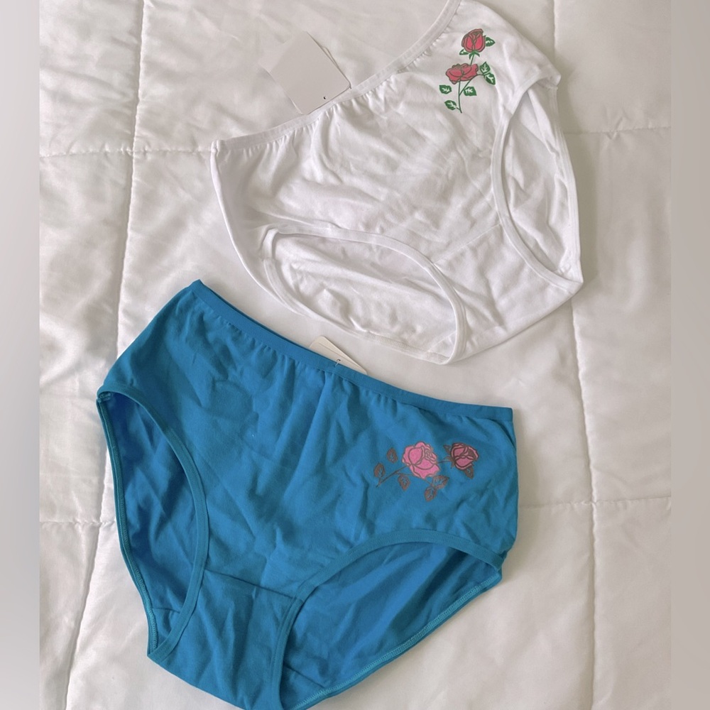 Floral Embroidered Panties Set - White and Blue